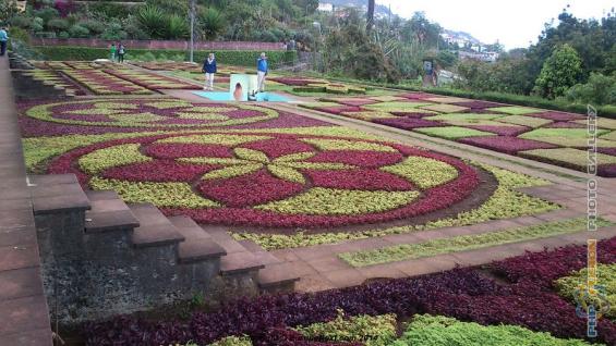 Madeira 2013