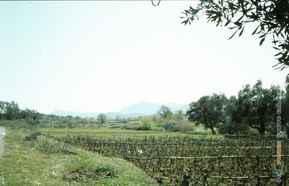 Corfu 1983